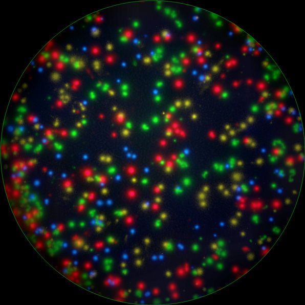 FluoroSpot Kits